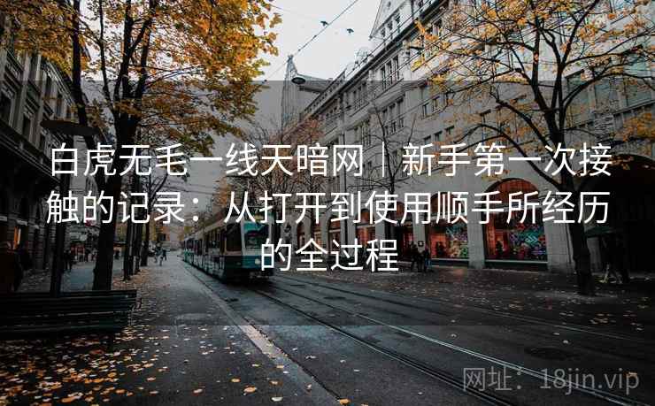 白虎无毛一线天暗网｜新手第一次接触的记录：从打开到使用顺手所经历的全过程