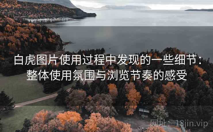 白虎图片使用过程中发现的一些细节:整体使用氛围与浏览节奏的感受 白虎图片使用过程中发现的一些细节:整体使用氛围与浏览节奏的感受