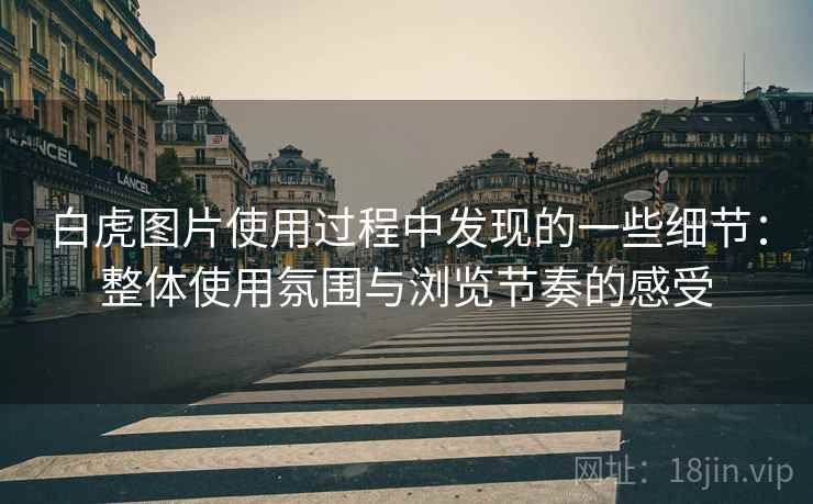 白虎图片使用过程中发现的一些细节:整体使用氛围与浏览节奏的感受 白虎图片使用过程中发现的一些细节:整体使用氛围与浏览节奏的感受