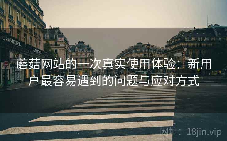 蘑菇网站的一次真实使用体验:新用户最容易遇到的问题与应对方式 蘑菇网站的一次真实使用体验:新用户最容易遇到的问题与应对方式