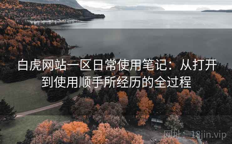 白虎网站一区日常使用笔记:从打开到使用顺手所经历的全过程 白虎网站一区日常使用笔记:从打开到使用顺手所经历的全过程