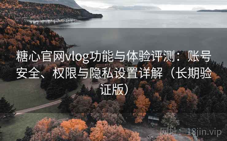 糖心官网vlog功能与体验评测：账号安全、权限与隐私设置详解（长期验证版）