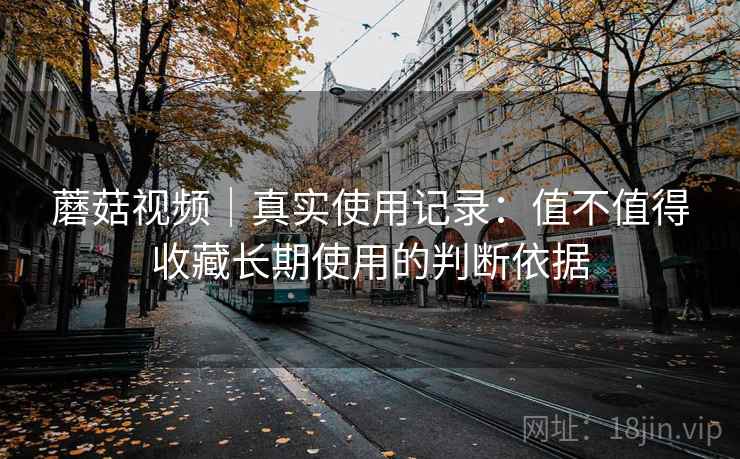 蘑菇视频|真实使用记录:值不值得收藏长期使用的判断依据 蘑菇视频|真实使用记录:值不值得收藏长期使用的判断依据