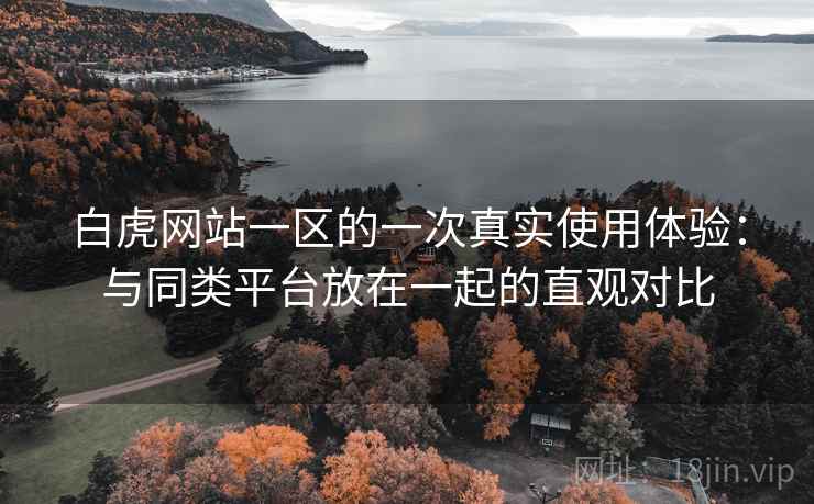 白虎网站一区的一次真实使用体验：与同类平台放在一起的直观对比