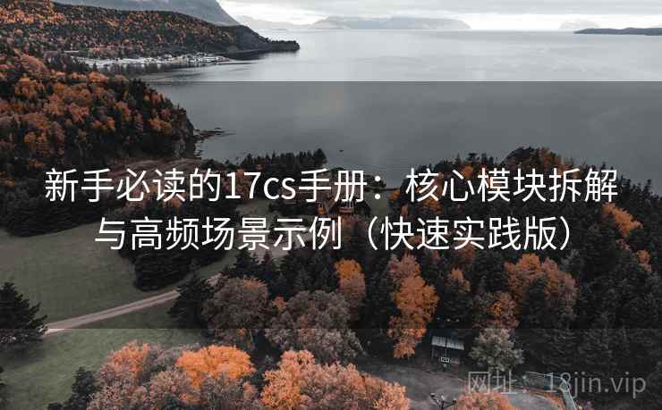 新手必读的17cs手册：核心模块拆解与高频场景示例（快速实践版）